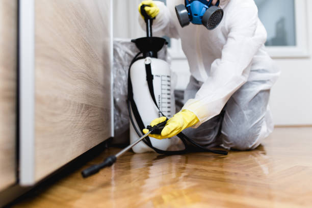 Best Affordable Pest Control Services  in Hayden, CO