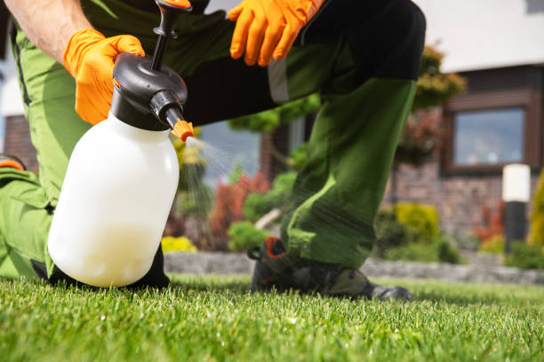 Reliable Hayden, CO Pest Control Solutions