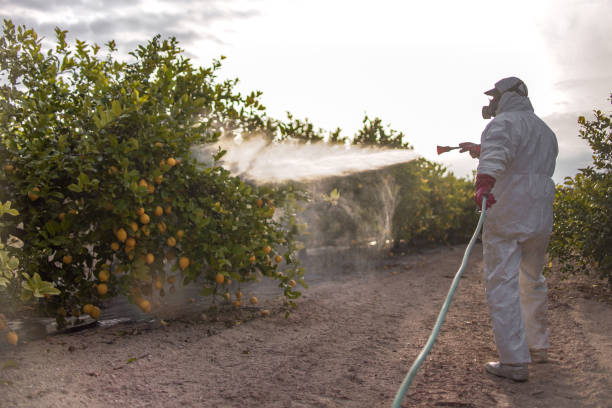 Best Flea Control Services  in Hayden, CO