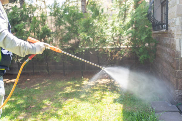 Best Commercial Pest Control Services  in Hayden, CO