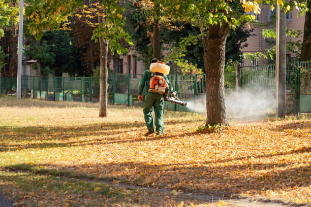 Best Pest Prevention Services  in Hayden, CO