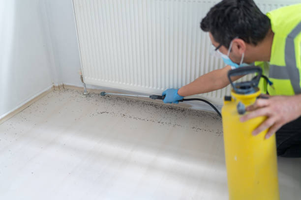 Best Affordable Exterminators  in Hayden, CO
